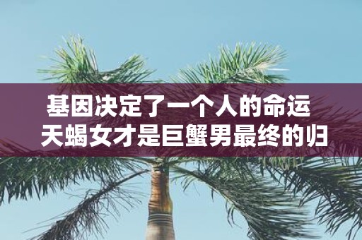 基因决定了一个人的命运 天蝎女才是巨蟹男最终的归宿