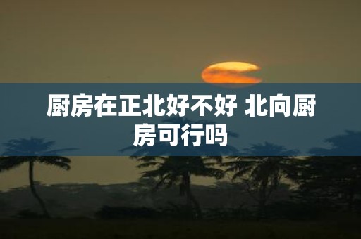 厨房在正北好不好 北向厨房可行吗