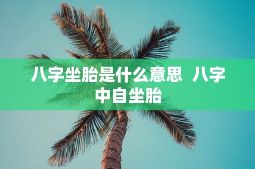 八字坐胎是什么意思 八字中自坐胎