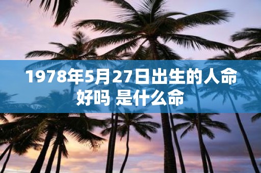 1978年5月27日出生的人命好吗 是什么命