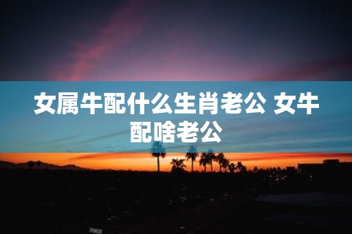 女属牛配什么生肖老公 女牛配啥老公
