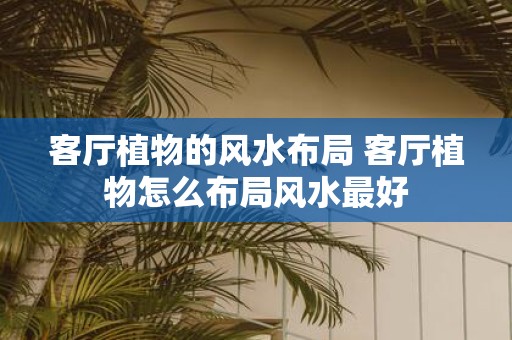 客厅植物的风水布局 客厅植物怎么布局风水最好
