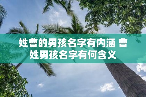 姓曹的男孩名字有内涵 曹姓男孩名字有何含义