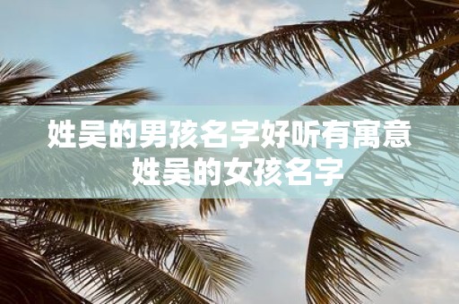 姓吴的男孩名字好听有寓意 姓吴的女孩名字