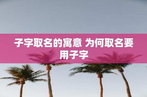子字取名的寓意 为何取名要用子字
