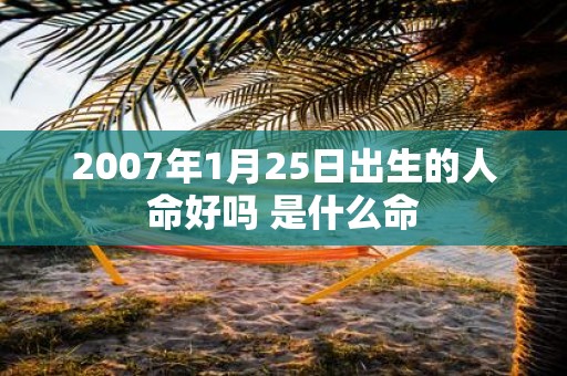 2007年1月25日出生的人命好吗 是什么命