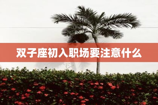 双子座初入职场要注意什么