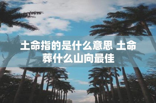 土命指的是什么意思 土命葬什么山向最佳