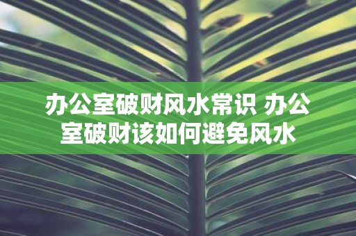 办公室破财风水常识 办公室破财该如何避免风水
