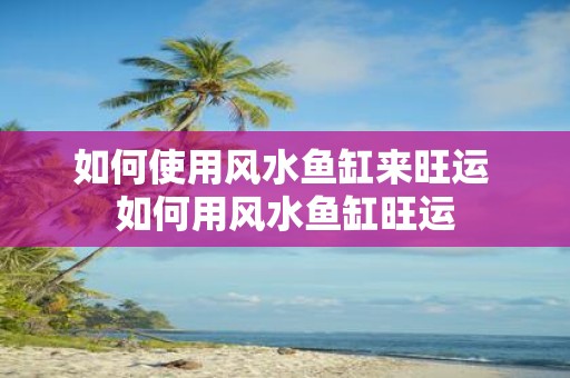 如何使用风水鱼缸来旺运 如何用风水鱼缸旺运