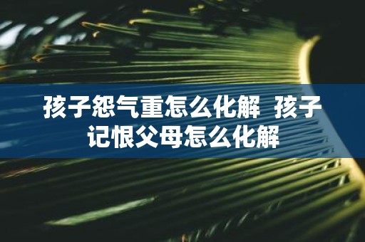 孩子怨气重怎么化解 孩子记恨父母怎么化解