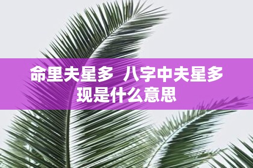 命里夫星多 八字中夫星多现是什么意思