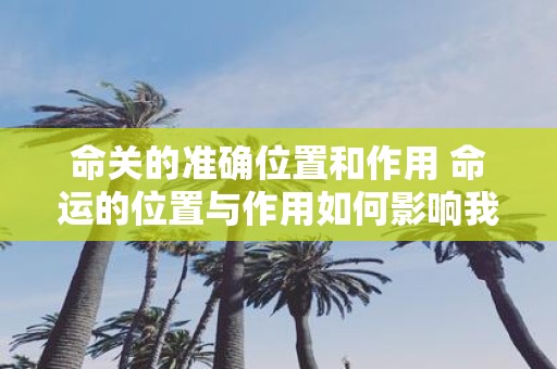 命关的准确位置和作用 命运的位置与作用如何影响我们