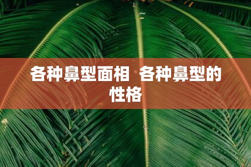 各种鼻型面相 各种鼻型的性格