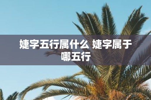 婕字五行属什么 婕字属于哪五行