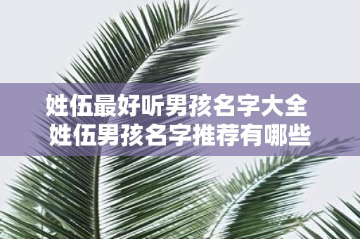 姓伍最好听男孩名字大全 姓伍男孩名字推荐有哪些