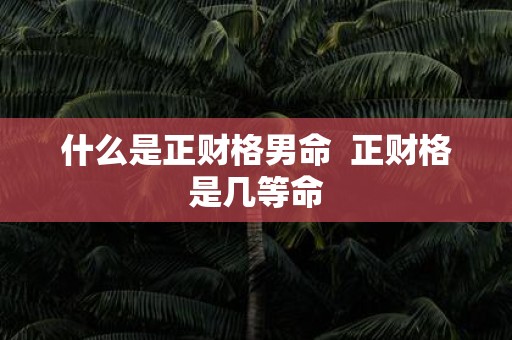 什么是正财格男命 正财格是几等命