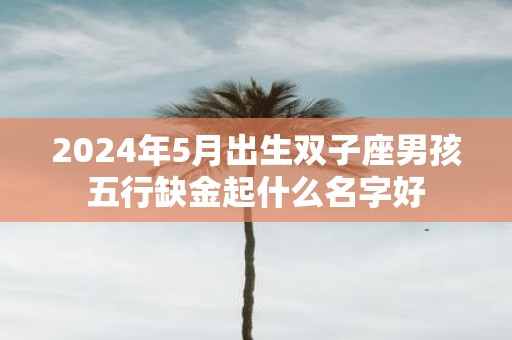2025年5月出生双子座男孩五行缺金起什么名字好