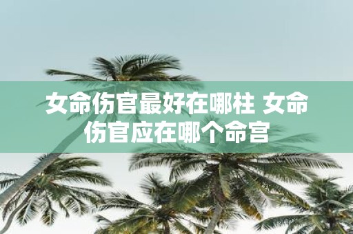 女命伤官最好在哪柱 女命伤官应在哪个命宫