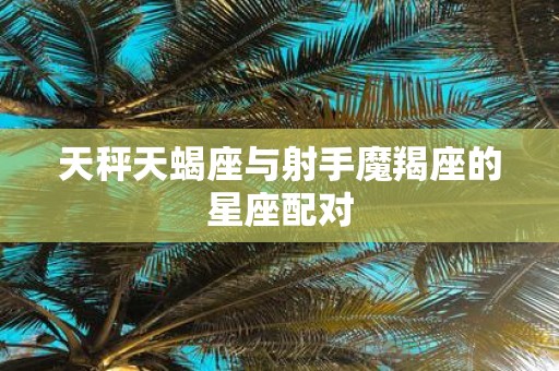 天秤天蝎座与射手魔羯座的星座配对