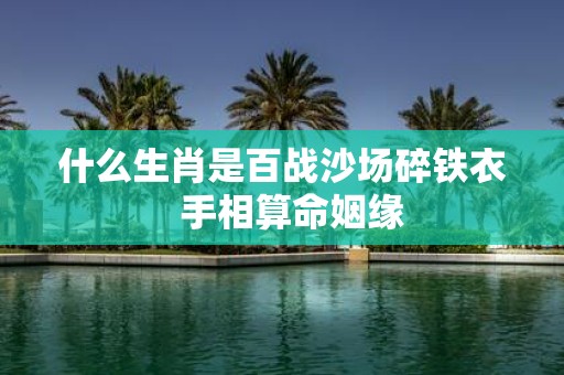 什么生肖是百战沙场碎铁衣 手相算命姻缘