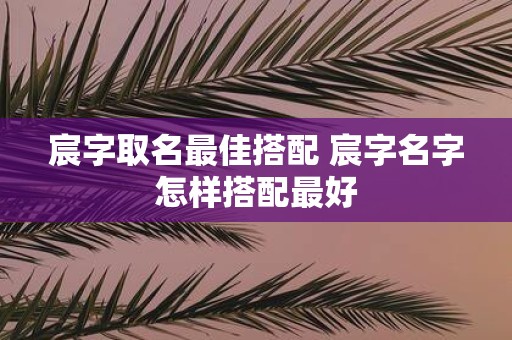 宸字取名最佳搭配 宸字名字怎样搭配最好