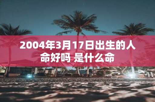 2004年3月17日出生的人命好吗 是什么命