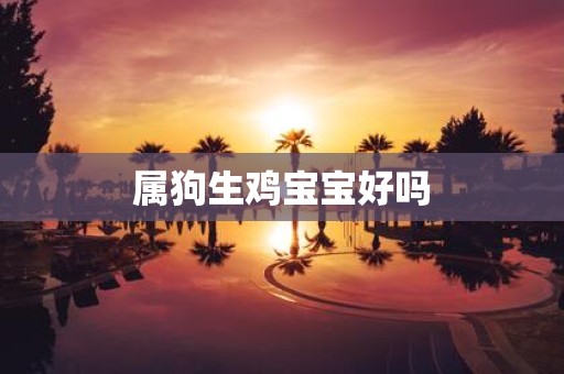 属狗生鸡宝宝好吗