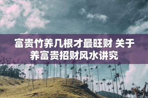 富贵竹养几根才最旺财 关于养富贵招财风水讲究