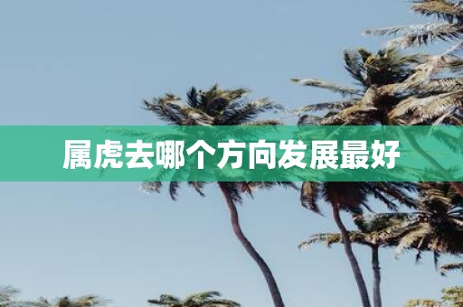 属虎去哪个方向发展最好