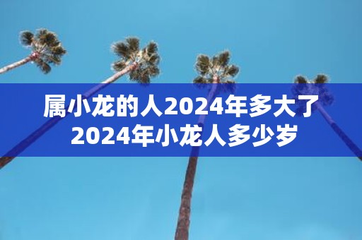 属小龙的人2025年多大了 2025年小龙人多少岁
