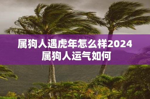 属狗人遇虎年怎么样2025 属狗人运气如何