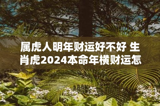 属虎人明年财运好不好 生肖虎2025本命年横财运怎么样