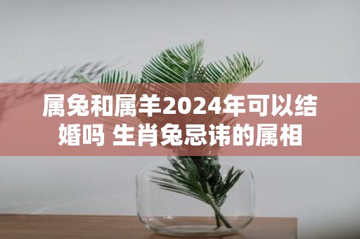 属兔和属羊2025年可以结婚吗 生肖兔忌讳的属相