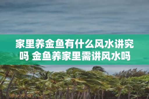 家里养金鱼有什么风水讲究吗 金鱼养家里需讲风水吗
