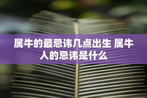 属牛的最忌讳几点出生 属牛人的忌讳是什么