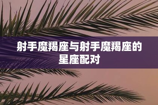 射手魔羯座与射手魔羯座的星座配对