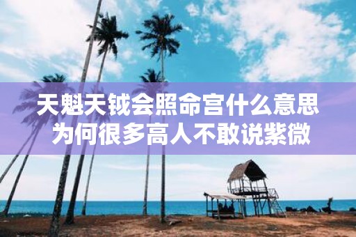 天魁天钺会照命宫什么意思 为何很多高人不敢说紫微星