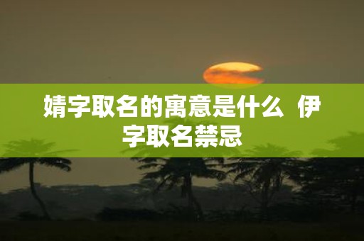 婧字取名的寓意是什么 伊字取名禁忌