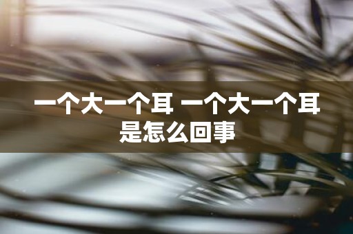 一个大一个耳 一个大一个耳是怎么回事