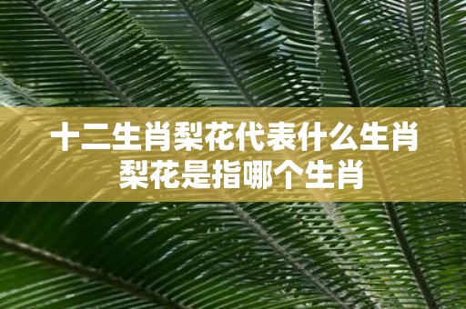 十二生肖梨花代表什么生肖 梨花是指哪个生肖