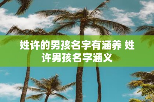 姓许的男孩名字有涵养 姓许男孩名字涵义
