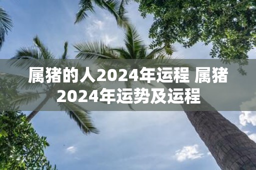 属猪的人2025年运程 属猪2025年运势及运程