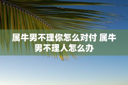 属牛男不理你怎么对付 属牛男不理人怎么办