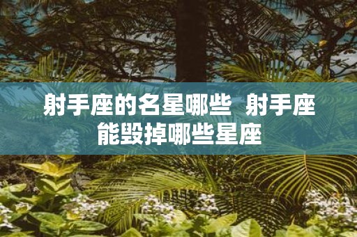 射手座的名星哪些 射手座能毁掉哪些星座