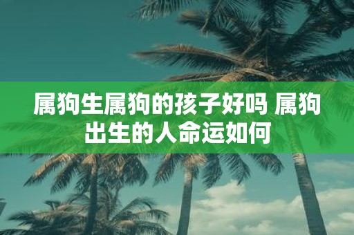 属狗生属狗的孩子好吗 属狗出生的人命运如何