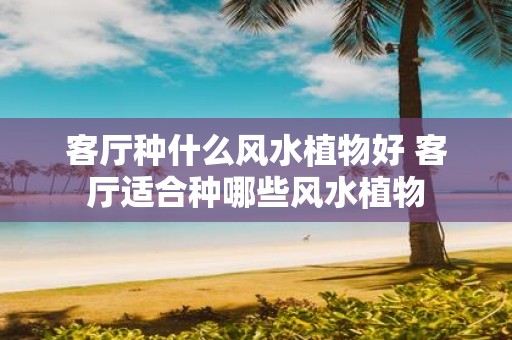 客厅种什么风水植物好 客厅适合种哪些风水植物