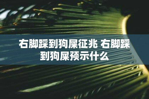 右脚踩到狗屎征兆 右脚踩到狗屎预示什么