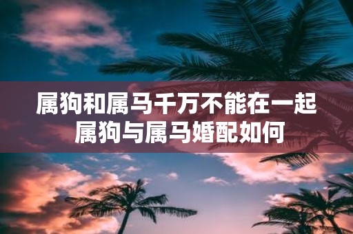 属狗和属马千万不能在一起 属狗与属马婚配如何