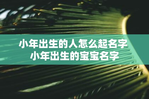 小年出生的人怎么起名字 小年出生的宝宝名字